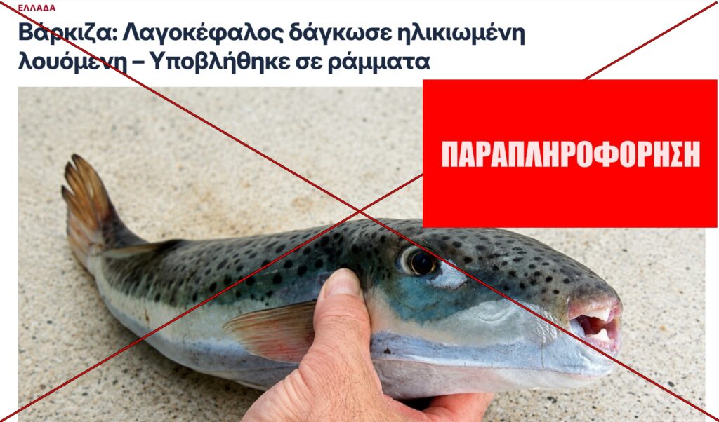 ΔΕΝ υπήρξε επίθεση λαγοκέφαλου σε λουόμενη στη Βάρκιζα